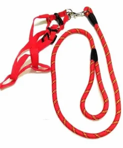 Alternative view of High Quality Multi Color Thick Dog belt