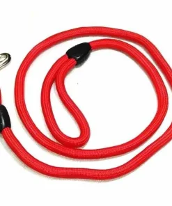 Red Color Dog Belt