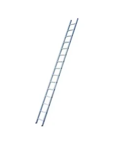 Alternative view of 13 Feet (14 Steps) Single Pole Ladder